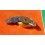 Rolex fournitures montres ref 7822, 7825, 7827, pont de barillet, ressort de barillet, barillet avec arbre cal 1520, 1530, 1570