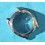 BOITIER PROJET MONTRE ROLEX OYSTER PERPETUAL DATE 1500 34mm