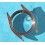 BOITIER PROJET MONTRE ROLEX OYSTER PERPETUAL DATE 1500 34mm