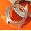 ?? Rare & Authentique vintage boitier, carrure de montre Rolex GMT MASTER 16753 de 1985 ??