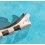 Rolex fixage, embout, endlink, fixations bracelet jubilée acier 62510H ref 574 /574B en 19mm