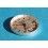 VINTAGE watch ladies Breitling Callisto Silver dial & hands Quartz ref. A48596 Ø19mm