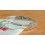 Rolex Used Cyclop Genuine Oyster Factory ref 116, 6542, 1675, 16753, 16758, 16750, 1655 watches Plexi Crystal