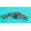 ROLEX 2006 BRACELET ACIER DAMES JUBILEE 62510D / 568B 13mm OYSTER BRACELET LADY CODE Z4