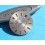 CADRAN MONTRES ROLEX OYSTER PERPETUAL DATEJUST ARGENT 16000,16030,16014 cal 3035, 3135