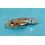 Rolex 2135 factory spare for service balance bridge Cal 2135 ref 2130-120, 2130-432 with spring hair watch