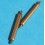 Rare Rolex Strongs Factory Gold plated Spring Pins to Fit Rolex bracelet Clasp 16mm
