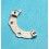 Rolex Factory spare watches Assortment caliber, movement misc oyster