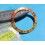 ROLEX VINTAGE INSERT GRADUE MONTRE GMT MASTER 1675/3, 16753, 1675/8, 16758, 1675 or & acier BRONZE