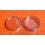 Watch storage tiny plastic box, for store Timepieces spares & parts, bits, job lots crown, tube, watches Ø40mm