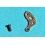 Rolex Authentic 1530, 1520, 1560, 1570 automatic Caliber watch spare Pallet Bridge Part 1530-7844, 7844 Pre-owned
