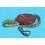 Rolex 1973 Vintage Chronometer Red Hang Seal Tag  "CERTIFIED OFFICIAL CHRONOMETER" FROG FOOT