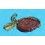 Rolex 1973 Vintage Chronometer Red Hang Seal Tag  "CERTIFIED OFFICIAL CHRONOMETER" FROG FOOT