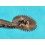Rolex Authentic & rare 1530, 1560, 1570, 1520 Caliber Autoamtic Minute Wheel watch Part 1530-7888 - Pre-owned