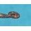 Rolex Authentic & rare 1530, 1560, 1570, 1520 Caliber Autoamtic Minute Wheel watch Part 1530-7888 - Pre-owned
