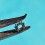 Rolex Authentic Caliber Setting Wheel Part 1530-7887, ref 7887, CAL 1520, 1530, 1560, 1570
