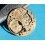 Rolex Authentic 1570, 1560 part for restore or repair Automatic Watch Caliber Main Plate -Ref 8130 -Pre-owned