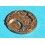 Rolex Authentic 1570, 1560 part for restore or repair Automatic Watch Caliber Main Plate -Ref 8130 -Pre-owned