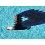 Rolex 1500 Series Caliber Watch Screw for Ratchet Wheel Part 1530-7876, Pre-owned Cal 1520, 1530, 1570, 1560