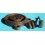 Rolex FOREIGN M-3 Collectible Vintage Original repair Tool table vice bench base jewellery watch repair old tool