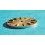 ROLEX CADRAN MONTRES LADY, DAMES OYSTER PERPETUAL DATE BEIGE Ø20mm 79173, 69173, 69163, 69178