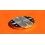 FRED CADRAN ET MOUVEMENT QUARTZ MONTRE FRED DAMES Ref FD024110, FD024110A005