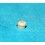 ?ROLEX VINTAGE PERLE / PLOT AU TRITIUM COULEUR VANILLE MONTRES 5513, 5512, 1680, 5510, 5508, SEA-DWELLER 1665?