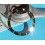 ROLEX INSERT LUNETTE NOIRE MONTRES SUBMARINER DATE OR & ACIER 16613, 16618, 16803, 16808 PERLE LUMINOVA