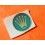 Rolex 60's BIG LOGO watch caseback Ø17mm Green Sticker Submariner, GMT, Explorer, Daytona 6263, 5512, 5513, 1680, 6542, 6241