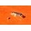 Rolex factory watch spares ref 8053, 8062, 8065 balance bridge, Stud support, shock absorber for balance upper Cal 1570