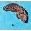 Rolex Factory used spare movement 1560, pre-owned barrel bridge part 7822 watches Cal automatics 1520, 1530, 1570