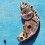 Rolex Factory used spare movement 1560, pre-owned barrel bridge part 7822 watches Cal automatics 1520, 1530, 1570