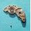 Rolex Factory used spare movement 1560, pre-owned barrel bridge part 7822 watches Cal automatics 1520, 1530, 1570