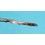 Rolex Authentic 1570, 1560 part for restore or repair Automatic Watch Caliber Main Plate -Ref 8130 -Pre-owned