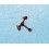Rolex Pre-owned Factory Movement 7846 Watch Part Cal.1530-7846 Pallet Fork automatic calibers ref 1520, 1530, 1570, 1560
