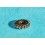 Rolex Watch Pre-owned spare 7550 Winding pinion mechanical calibres 1210, 1215, 1220, 1225