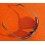 LUNETTES DE SOLEIL ROLEX AVEC HOUSSE ROLAND GARROS TENNIS PAR Zerorh+
