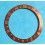 ROLEX VINTAGE INSERT FAT FONT GRADUE MONTRES GMT MASTER 1675/3, 16753, 1675/8, 16758, 1675 or & acier BRONZE