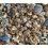 Watches lot of hugge lot of Watches spares, part crowns Stainless steel x 100 New old of stock