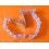 BRACELET PLASTIQUE OYSTER PRESENTATION