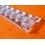 BRACELET PLASTIQUE OYSTER PRESENTATION