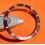 ✰✰ROLEX SEXY GLOSSY TROPICAL WATCH INSERT 5513, 5512, 1665, 1680 "BROWN", CHOCOLATE SUBMARINER✰✰