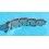 Rolex 78350-19mm 557 endlink bracelet links parts Oyster band for restore/repair Air king, Oyster date, Precision watches