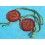 Authentic Vintage Rolex lot of 2 x Red Hang Tag Large Crown Pattern Hologram Watch part Goodie Accessories