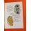 Rolex Collectable Booklet Brochure manual watches team Rolex Oyster 1975 Sub, Gmt, Daytona, 5513, 1680, 1675, 6263, 1803