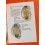 Rolex Collectable Booklet Brochure manual watches team Rolex Oyster 1975 Sub, Gmt, Daytona, 5513, 1680, 1675, 6263, 1803