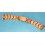 ♛Rolex Yellow 18kt Gold Filled Capped Shell 19mm Oyster Bracelet 78351B 457B End Pieces ♛