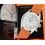 Livre Rolex Antiqorum The Mondani Collection of Rolex Wristwatches Mandarin Oriental Hotel Geneva April May 2006 Valeur Montres