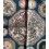 F. P Journe watch SA Invenit et Fecit François Paul Journe elegant & rare Luxury cloth Silk for men's costume suit