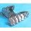 BRACELET ACIER 7205 RIVETS 1967 MONTRES ROLEX DAYTONA 19mm  6263, 6241, 6240, 6262, 6239, Airking